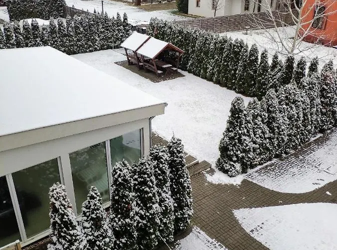 Ada Wellness 希欧福克